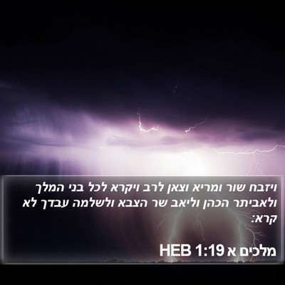 מלכים א 1:19 HEB Bible Verse Image