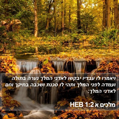 מלכים א 1:2 HEB Bible Verse Image