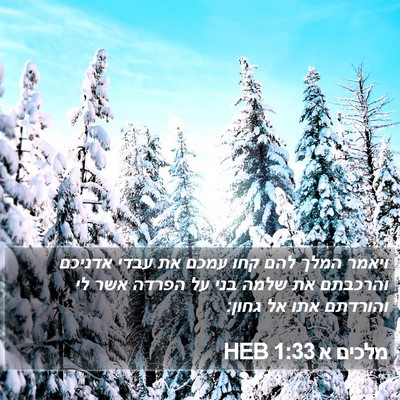 מלכים א 1:33 HEB Bible Verse Image