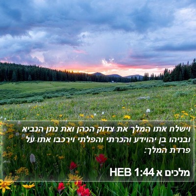 מלכים א 1:44 HEB Bible Verse Image