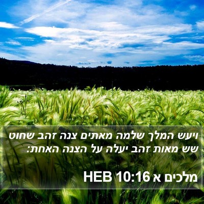 מלכים א 10:16 HEB Bible Verse Image