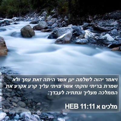 מלכים א 11:11 HEB Bible Verse Image