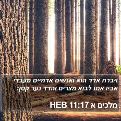 מלכים א 11:17 HEB Bible Verse Image