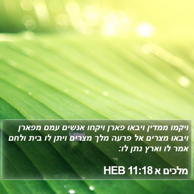 מלכים א 11:18 HEB Bible Verse Image
