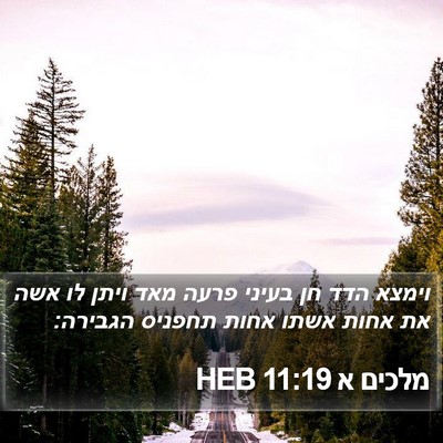 מלכים א 11:19 HEB Bible Verse Image