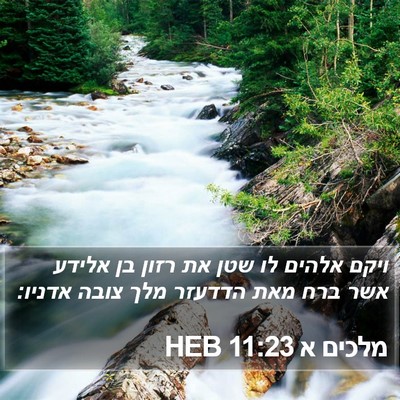 מלכים א 11:23 HEB Bible Verse Image
