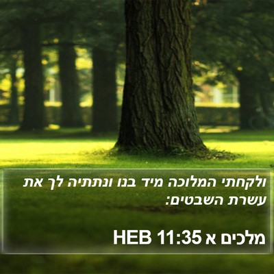 מלכים א 11:35 HEB Bible Verse Image