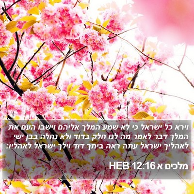 מלכים א 12:16 HEB Bible Verse Image