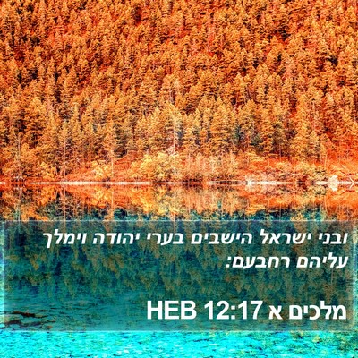מלכים א 12:17 HEB Bible Verse Image