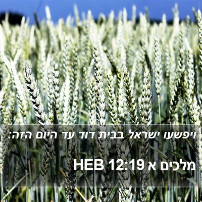 מלכים א 12:19 HEB Bible Verse Image
