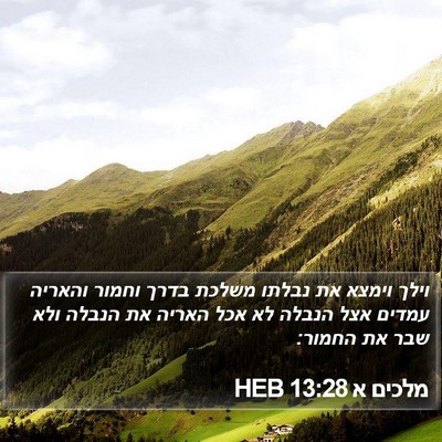 מלכים א 13:28 HEB Bible Verse Image