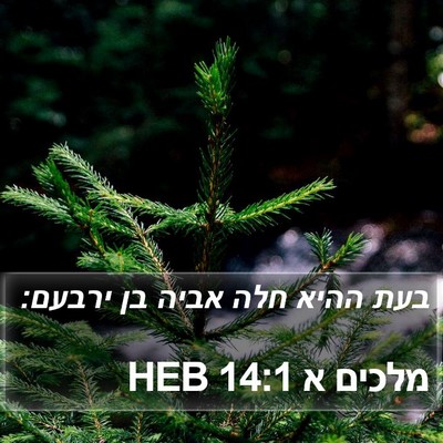 מלכים א 14:1 HEB Bible Verse Image