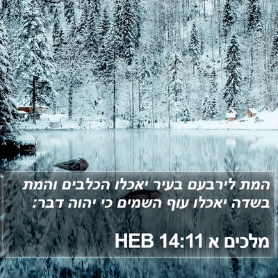 מלכים א 14:11 HEB Bible Verse Image