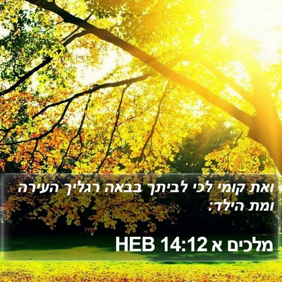 מלכים א 14:12 HEB Bible Verse Image
