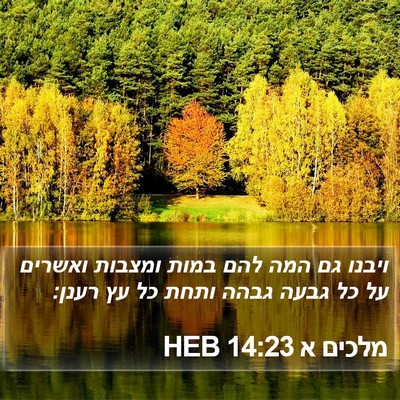 מלכים א 14:23 HEB Bible Verse Image