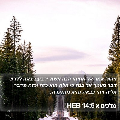 מלכים א 14:5 HEB Bible Verse Image