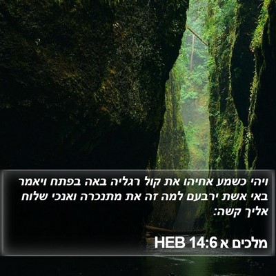 מלכים א 14:6 HEB Bible Verse Image
