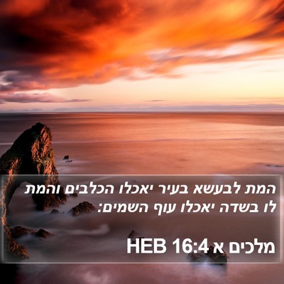 מלכים א 16:4 HEB Bible Verse Image