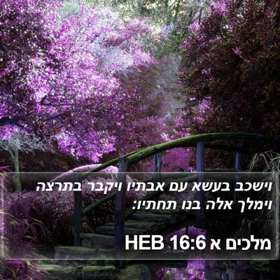 מלכים א 16:6 HEB Bible Verse Image