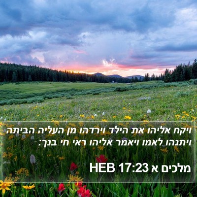 מלכים א 17:23 HEB Bible Verse Image