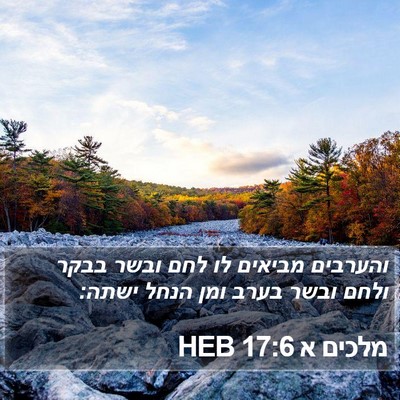 מלכים א 17:6 HEB Bible Verse Image