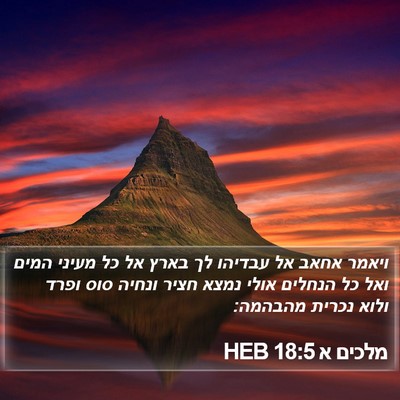 מלכים א 18:5 HEB Bible Verse Image