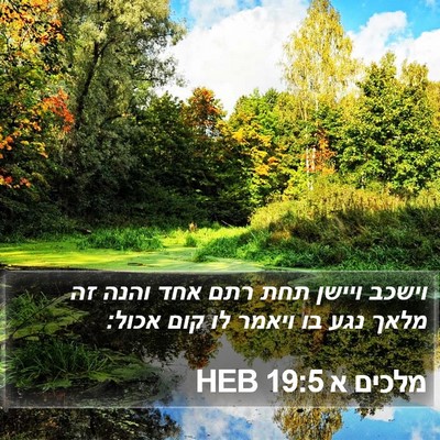 מלכים א 19:5 HEB Bible Verse Image