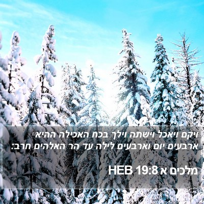 מלכים א 19:8 HEB Bible Verse Image