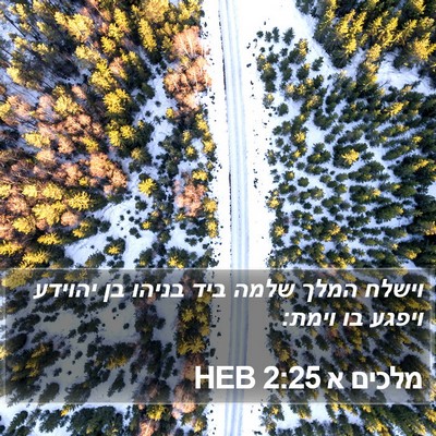 מלכים א 2:25 HEB Bible Verse Image