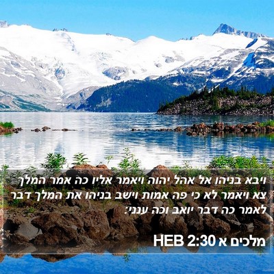 מלכים א 2:30 HEB Bible Verse Image