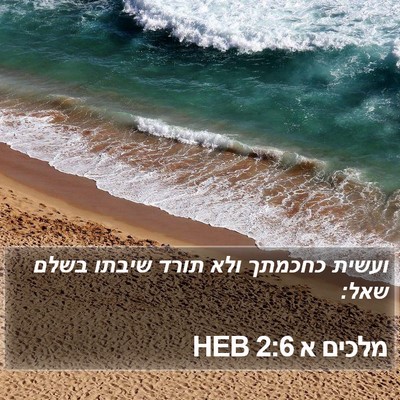 מלכים א 2:6 HEB Bible Verse Image