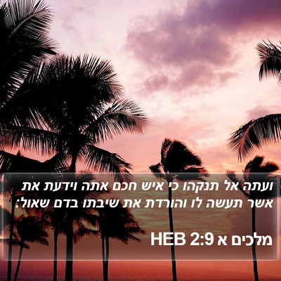 מלכים א 2:9 HEB Bible Verse Image