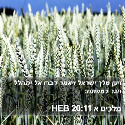 מלכים א 20:11 HEB Bible Verse Image