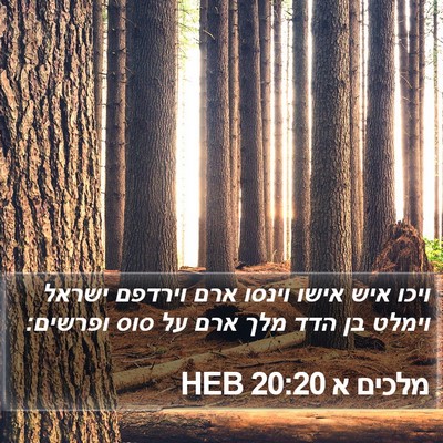 מלכים א 20:20 HEB Bible Verse Image