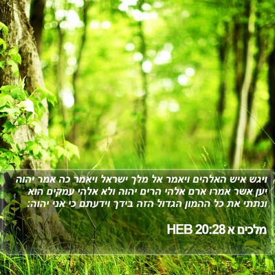מלכים א 20:28 HEB Bible Verse Image
