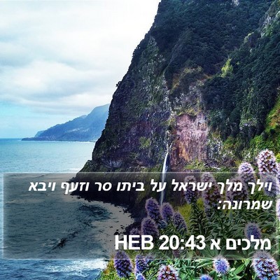 מלכים א 20:43 HEB Bible Verse Image