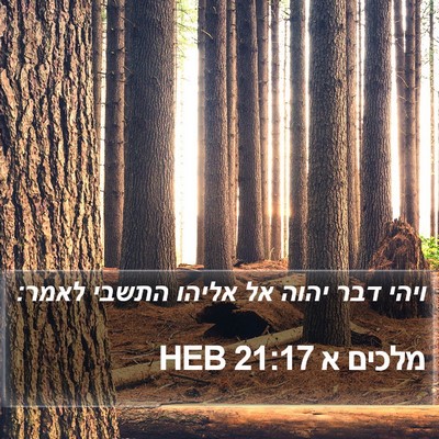 מלכים א 21:17 HEB Bible Verse Image