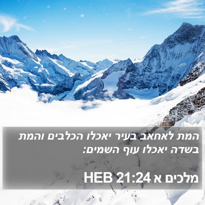 מלכים א 21:24 HEB Bible Verse Image