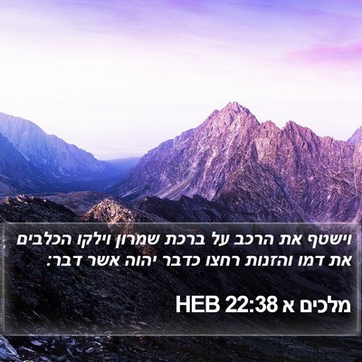 מלכים א 22:38 HEB Bible Verse Image