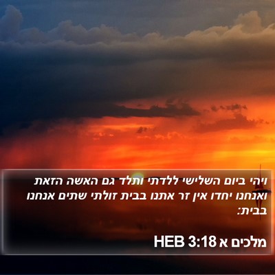 מלכים א 3:18 HEB Bible Verse Image