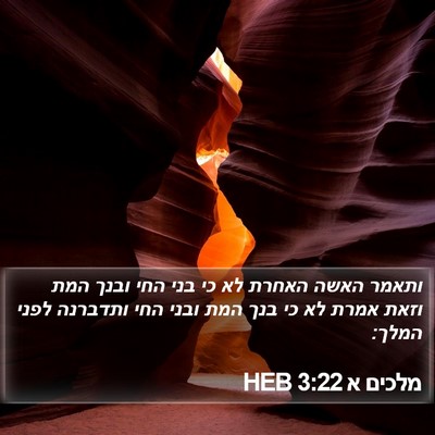 מלכים א 3:22 HEB Bible Verse Image