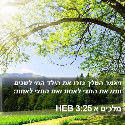 מלכים א 3:25 HEB Bible Verse Image