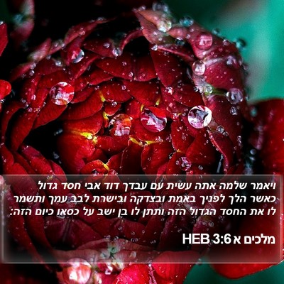 מלכים א 3:6 HEB Bible Verse Image