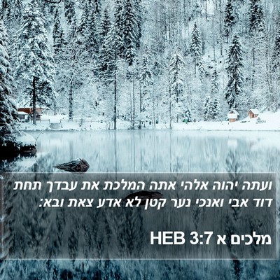 מלכים א 3:7 HEB Bible Verse Image