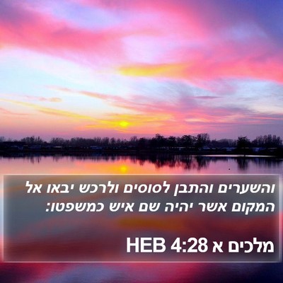 מלכים א 4:28 HEB Bible Verse Image