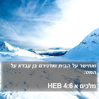 מלכים א 4:6 HEB Bible Verse Image