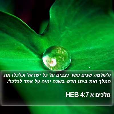 מלכים א 4:7 HEB Bible Verse Image
