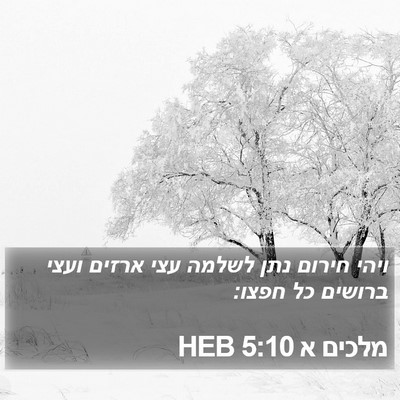מלכים א 5:10 HEB Bible Verse Image