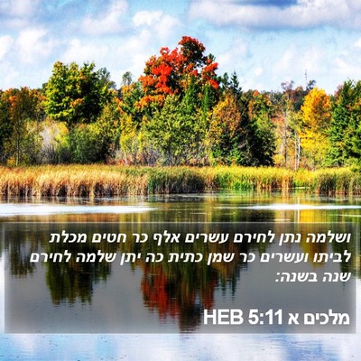 מלכים א 5:11 HEB Bible Verse Image