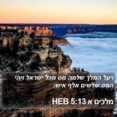 מלכים א 5:13 HEB Bible Verse Image